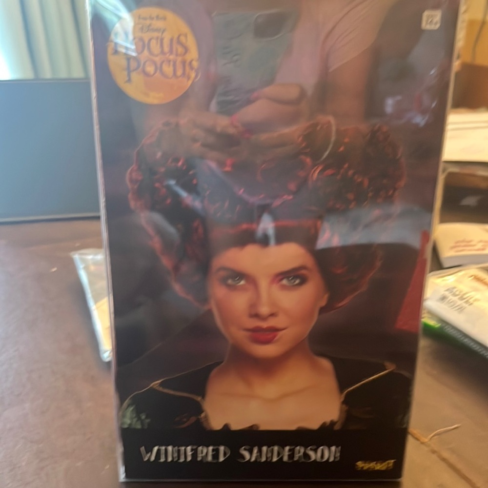 EUC Winifred Sanderson wig